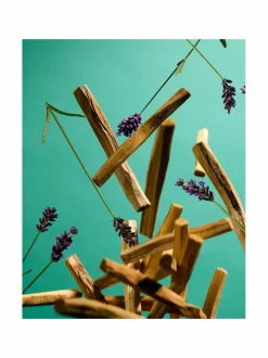 The Ritual of Jing Small Gift Set -ihonhoitopakkaus