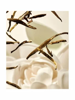 The Ritual of Karma Medium Gift Set -ihonhoitopakkaus