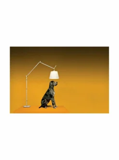 Tolomeo Mega -lattiavalaisin