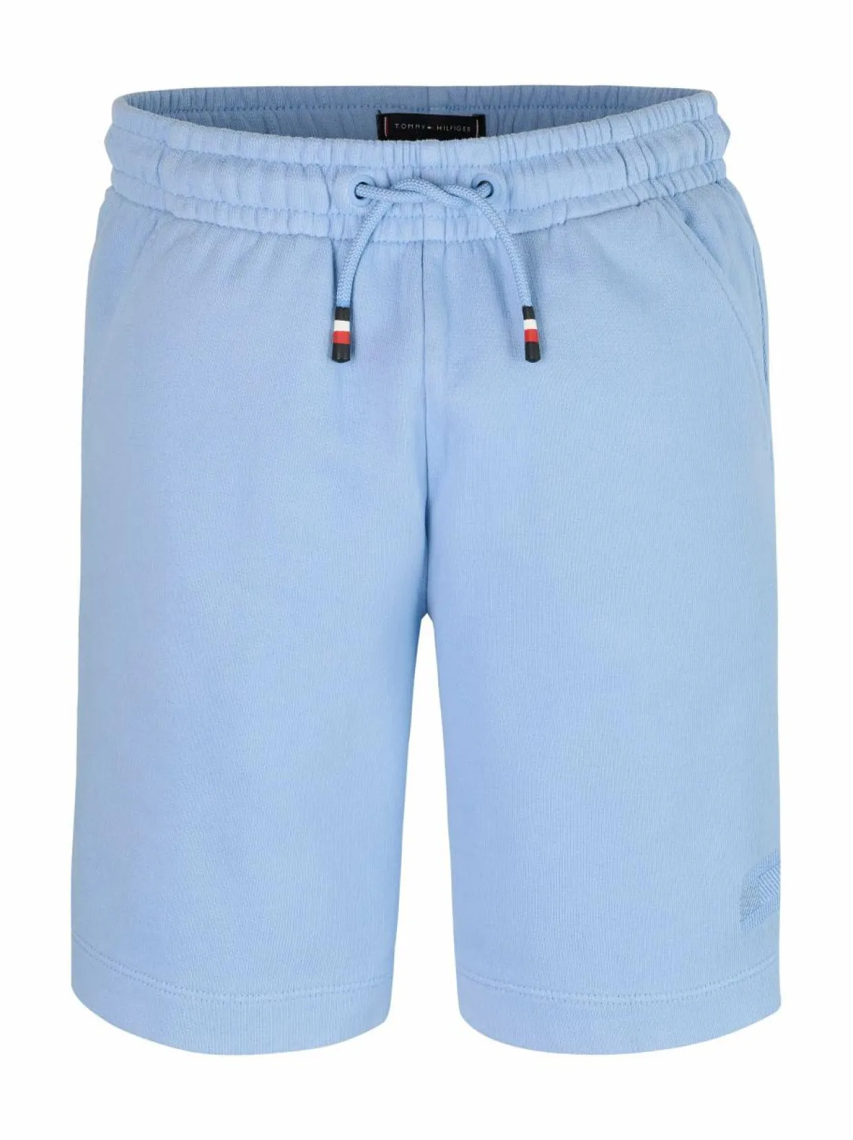 Tonal Flag Embroidery -collegeshortsit