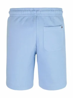 Tonal Flag Embroidery -collegeshortsit