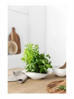 Vapiano-pastalautanen 2 kpl