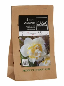 Westward-kerrotun narsissin sipulit 5-pack