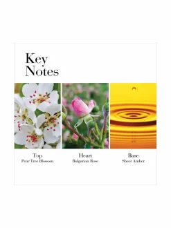 White Tea Wild Rose EdT -tuoksu 30 ml