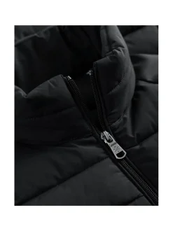 W's Delano Hybrid -takki